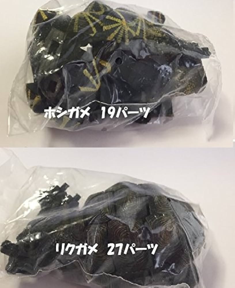 亀のフィギュア Amazon.co.jp: 亀 フィギュア 2体1組 ホシガメ・アルダブラ